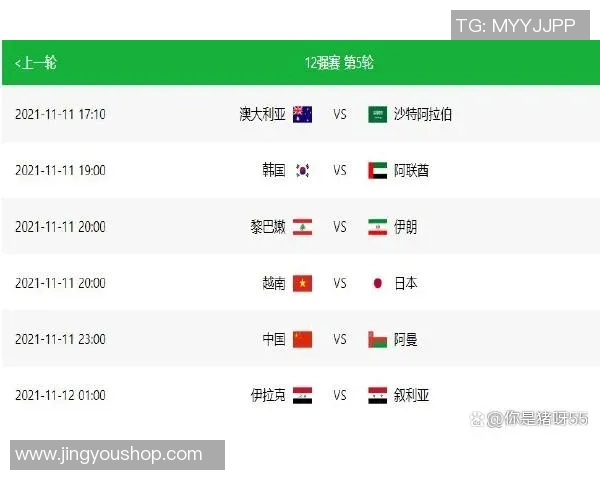 北京羽毛球队在世界杯积分榜上以63分稳居第一名展现强劲实力